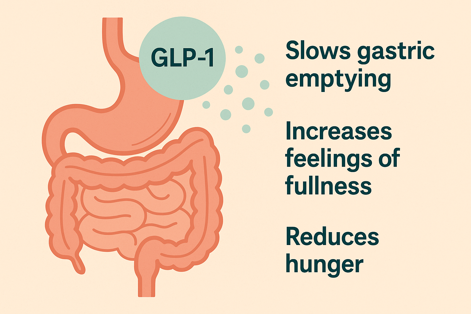 Wegovy works by mimicking a naturally-occurring hormone (GLP-1)